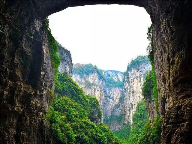 部落陷阱逃脱